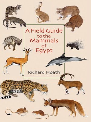 cover image of A Field Guide to the Mammals of Egypt